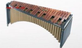 谁的木琴在线观看,跟随谁的木琴，踏上音乐之旅