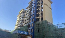 万辉国际城爆料视频最新,揭秘项目真相与未来发展