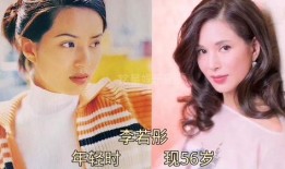 娱乐圈儿大爆料,重磅爆料背后的真相与内幕