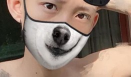 狗仔戴墨镜口罩爆料视频,独家爆料视频引发热议