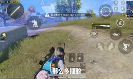 和平精英爆料女帝视频,神秘背景与华丽技能揭秘