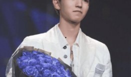 圈内爆料肖战王俊凯,揭秘两位流量小生的幕后故事