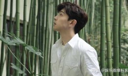 娱乐爆料王源黄景瑜,双星闪耀，幕后故事大揭秘