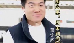 董宇辉最新爆料新闻,揭秘娱乐圈惊人内幕