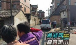 杭州爆料最新事件新闻,惊现神秘事件引发社会关注