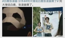 刘大锤周四爆料视频,揭秘娱乐圈惊人内幕