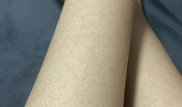 吃鸡皮肤爆料最新手册,手册大揭秘，潮流玩法抢先看