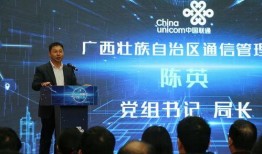 数字广西最新爆料,揭秘区域数字化转型新篇章