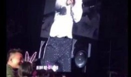 娱乐吃瓜酱演唱会,燃情开唱，狂欢之夜