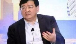 爆料徐小平视频大全最新,最新视频爆料背后的真实故事