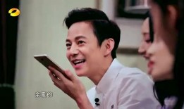 苏醒爆料何炅视频大全下载,独家下载大全揭秘