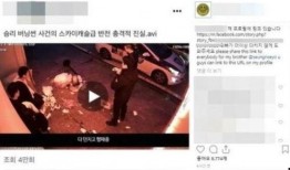 最新真实爆料视频,真实事件背后的惊人真相