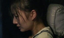 夜车法国在线观看,在线观影之旅，穿越法国夜色风情