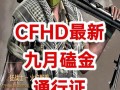 cfhd4最新爆料,揭秘全新游戏内容与玩法革新