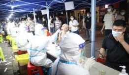 向往4最新爆料下载苹果,苹果版独家揭秘，明星生活大曝光！