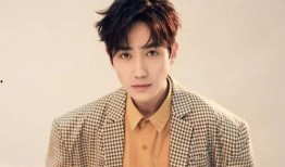 刘建勋天涯爆料视频大全,揭秘背后真相与内幕